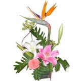 ʯʨʻٵ